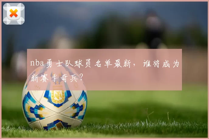 nba勇士队球员名单最新,谁将成为新赛季奇兵?