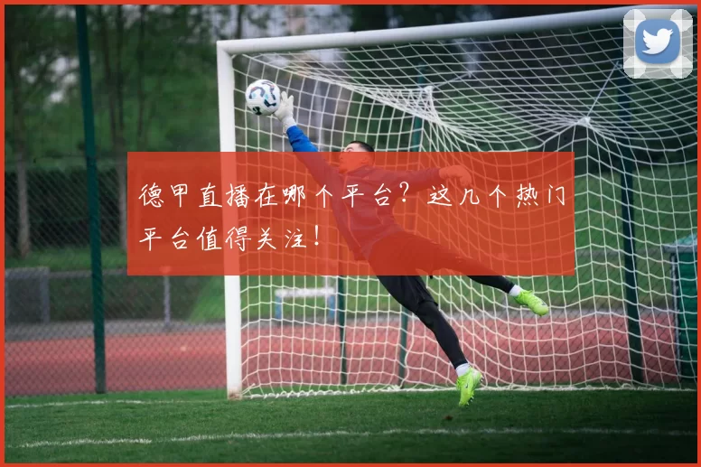 德甲直播在哪个平台？这几个热门平台值得关注！